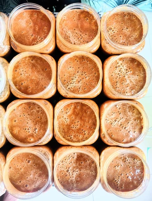 Palm Jaggery (খাঁটি তালের গুড়) — view 1