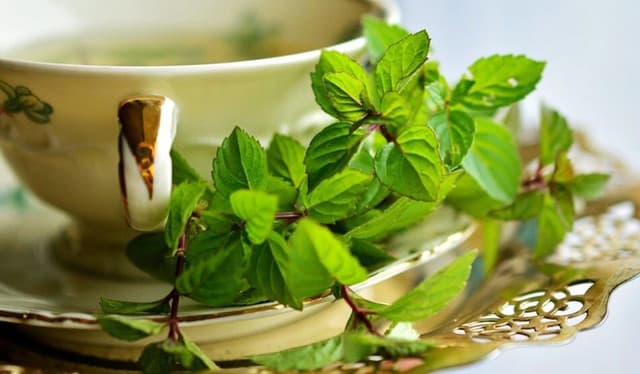 Tulsi Herbal Tea (তুলসী herbal চা) — view 1
